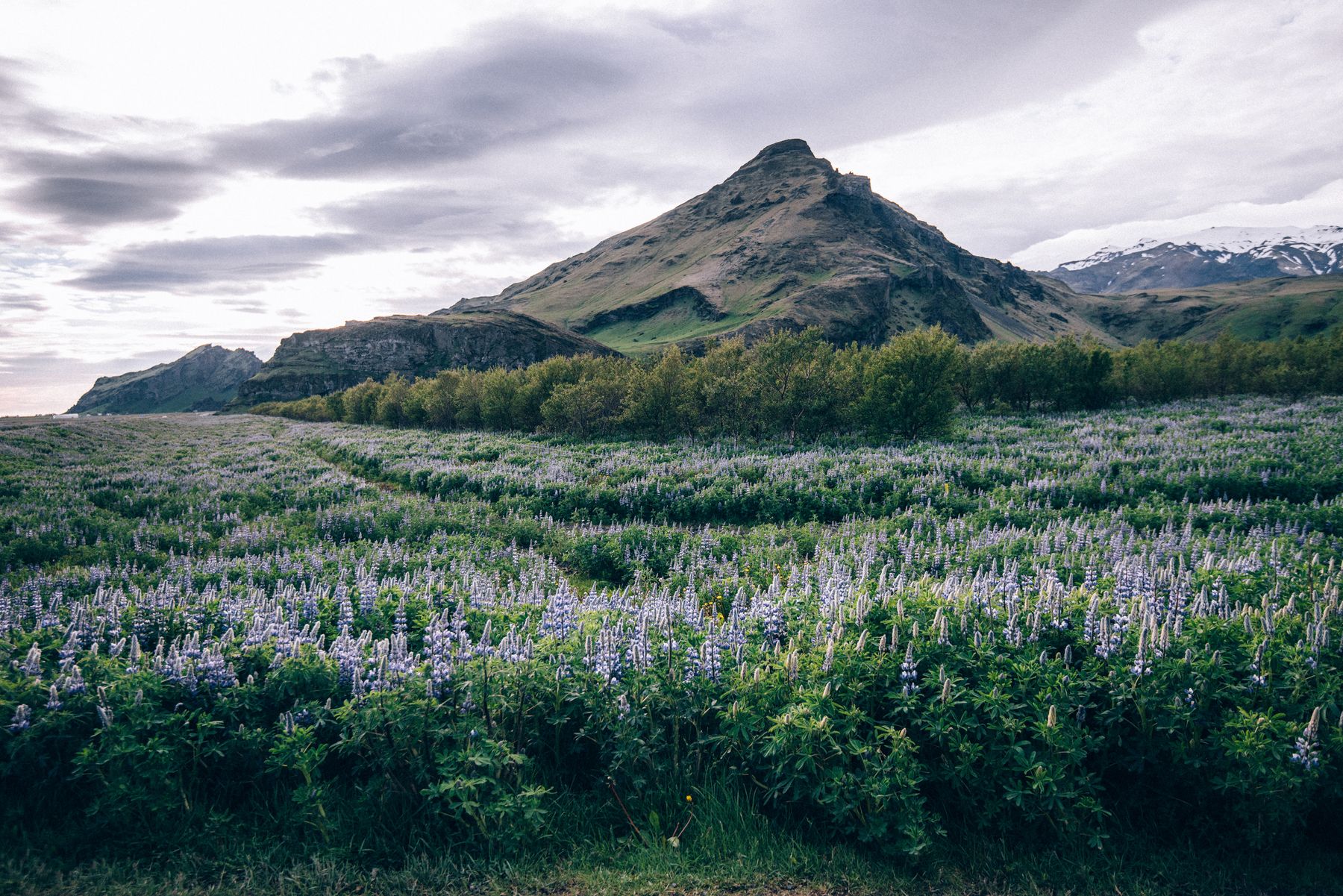 Ісландія 